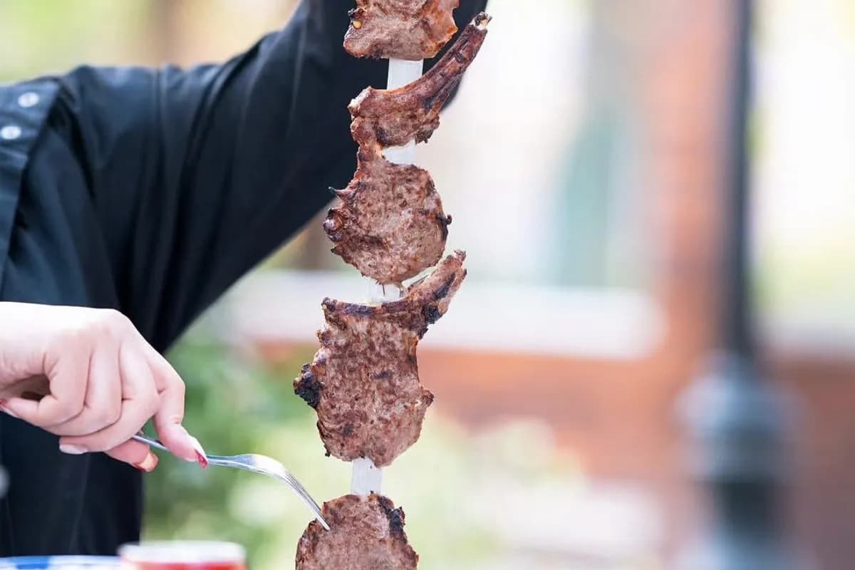 Why Eram Shishlik?